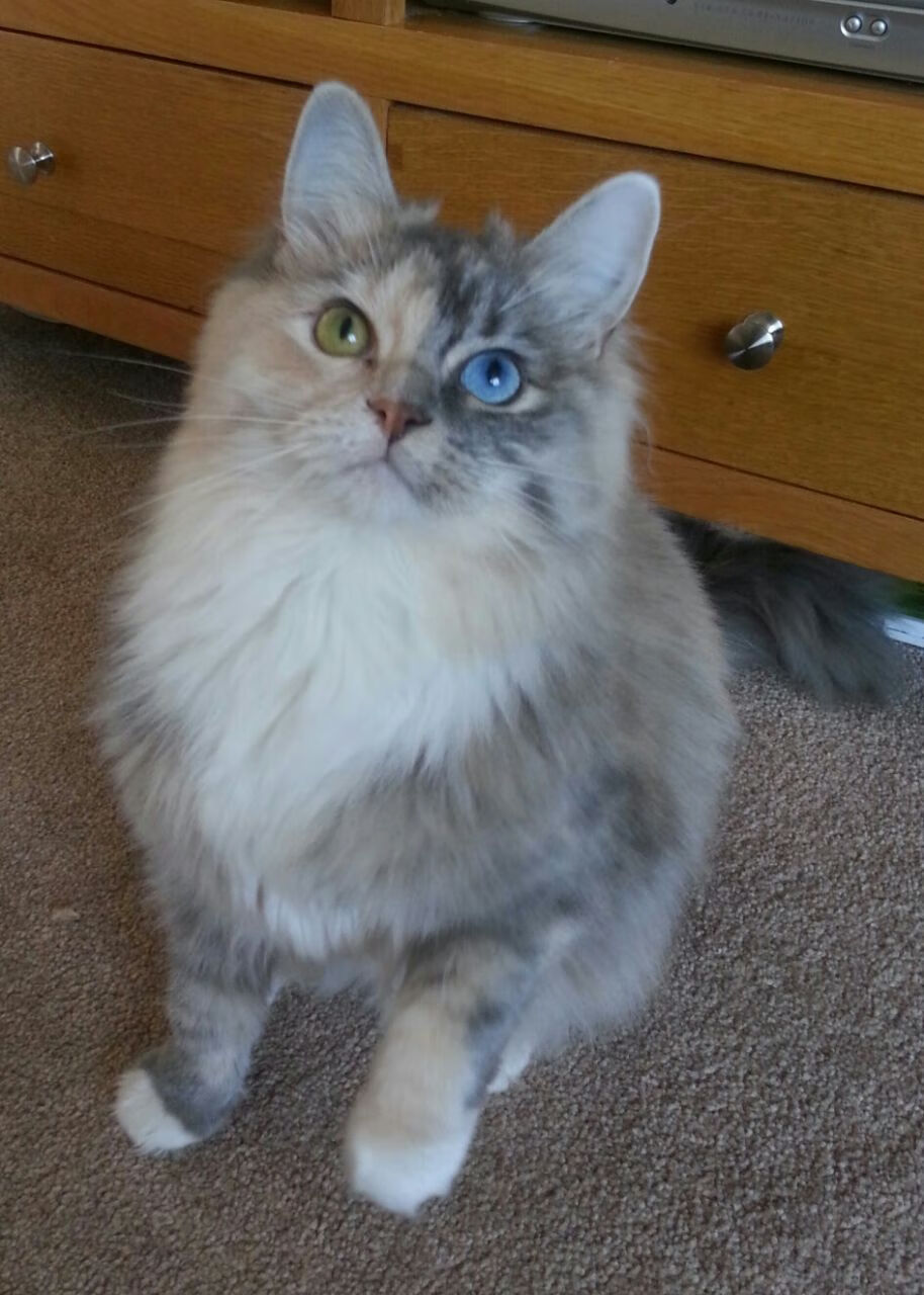 中国足球城市联赛启动覆盖百余座城市,中国城市足球联赛官网