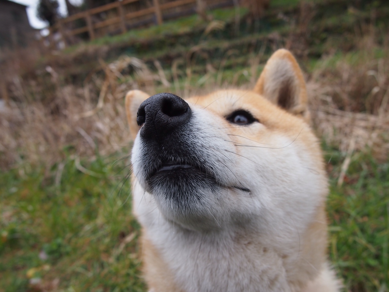 全国青少年“篮动新星”技能大赛在杭州激烈角逐,2020全国青少年篮球比赛