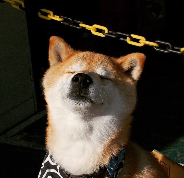 德国女子49公斤级举重选手在决赛中获得第八名，德国举重小将