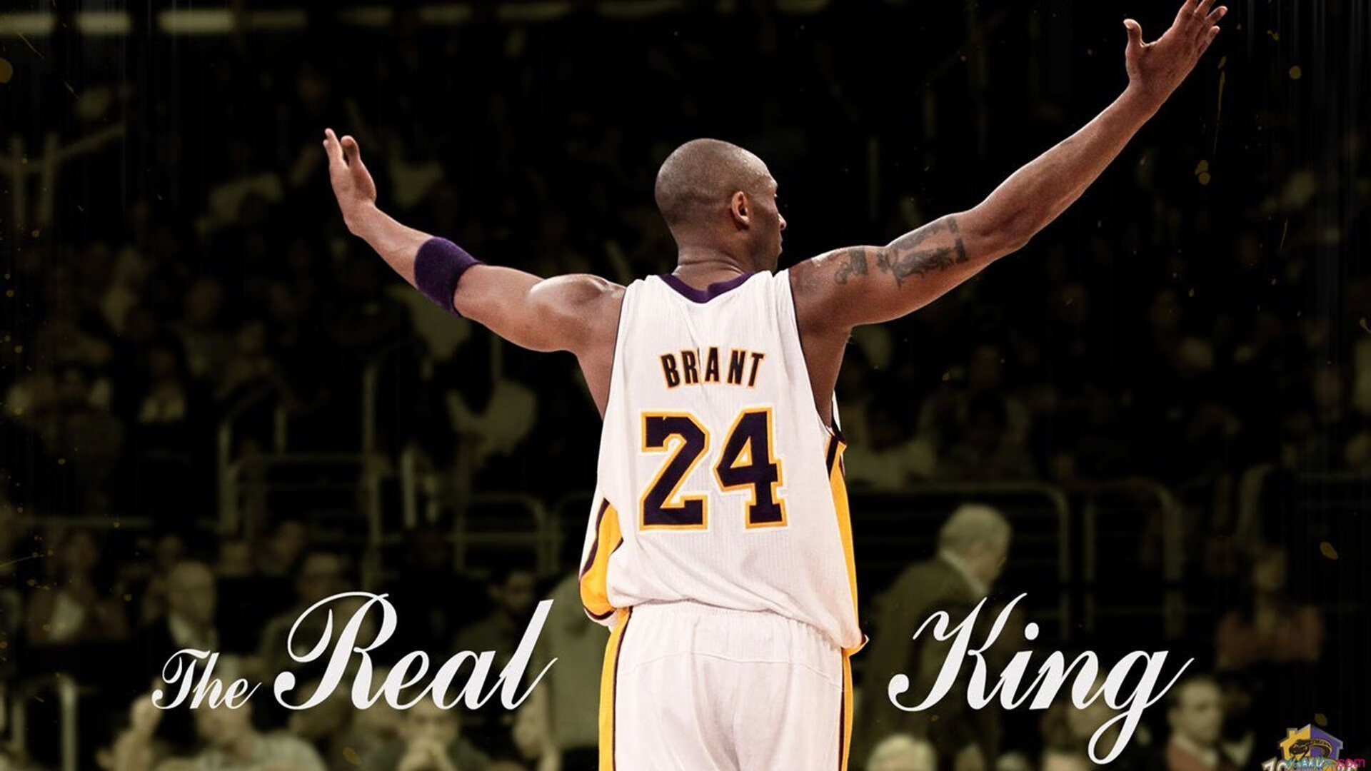 开云综合服务-鹈鹕球员自发组织投篮对抗营造良性竞争氛围，zion鹈鹕