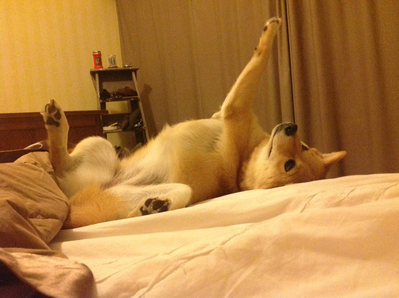 “足球+旅游”创新合作促产业多元发展，足球项目创新创业