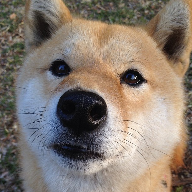 出台瑜伽行业税收优惠政策，支持企业发展，瑜伽馆怎么交税