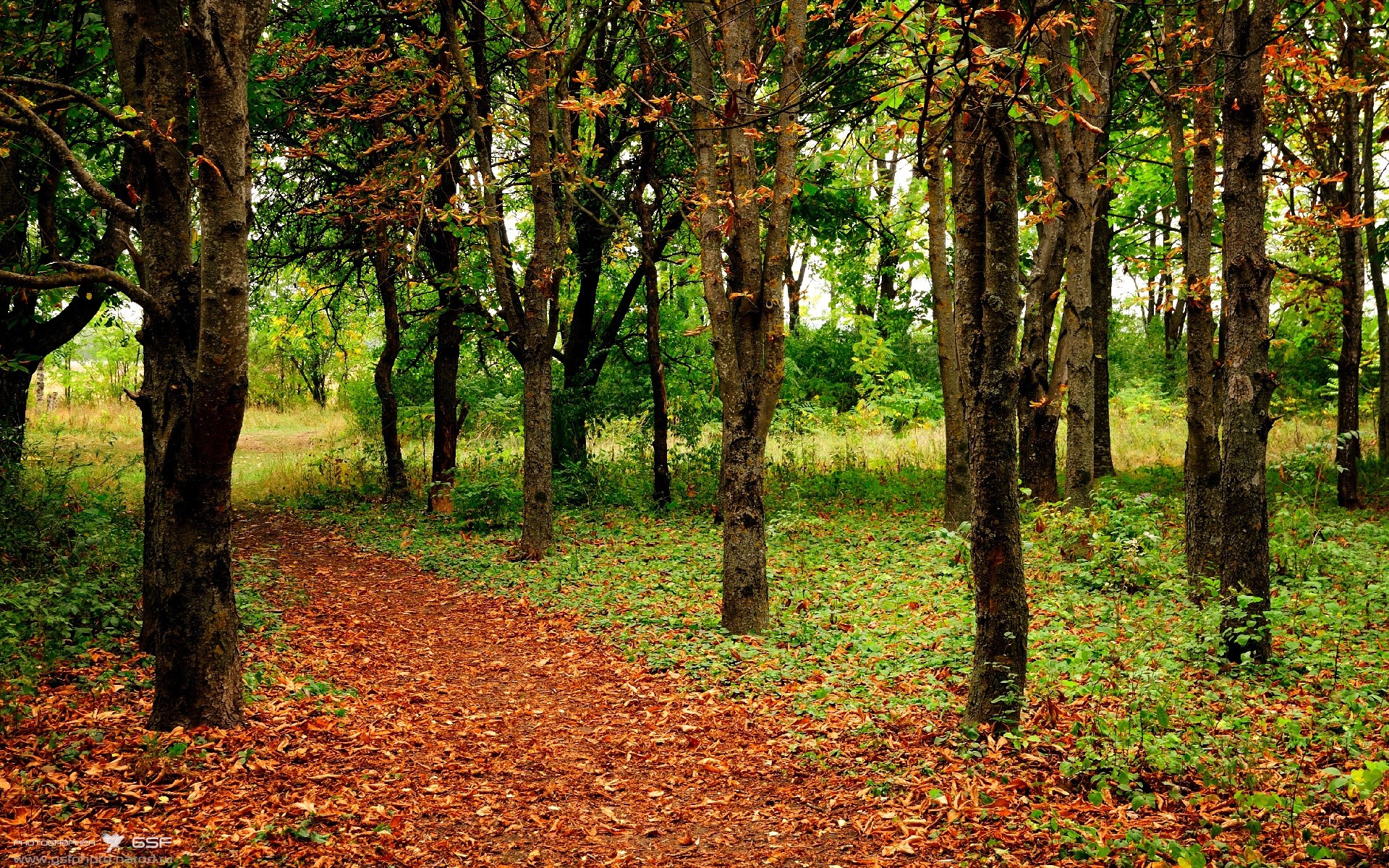 历史战役:联盟史上最经典的比赛回顾,lol经典战役