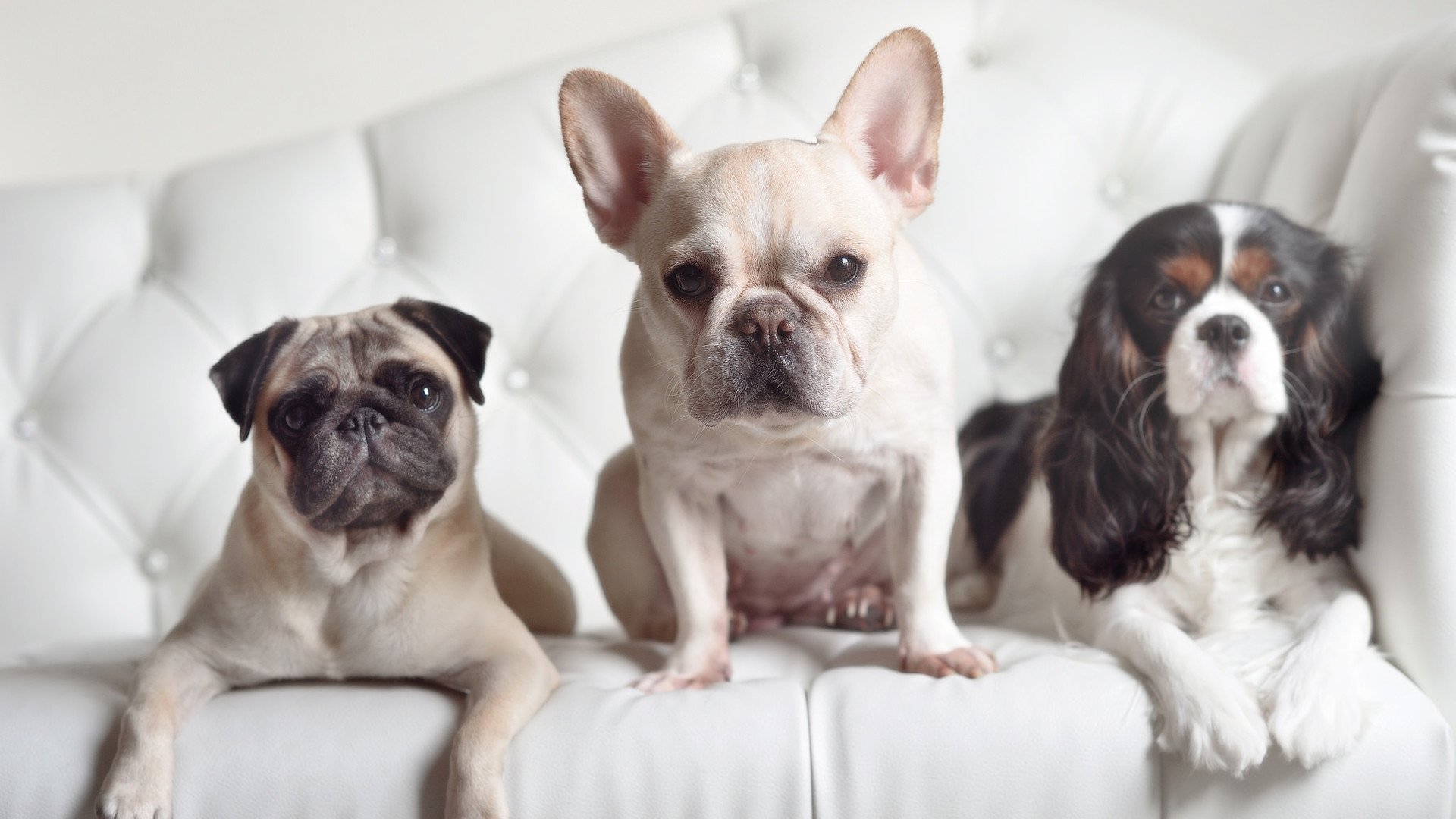 开云全站下载-奥运爆冷：法国男足不敌南非，法国 男足